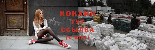 гидра Бикин