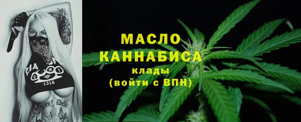 дживик Билибино