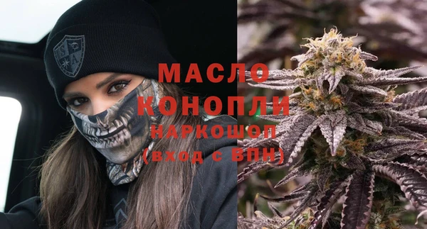 дживик Билибино