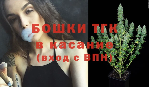 дживик Билибино