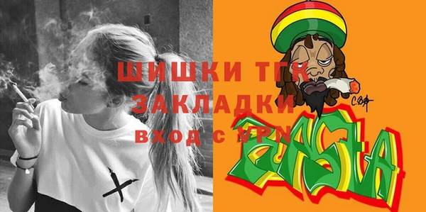 гидра Бикин