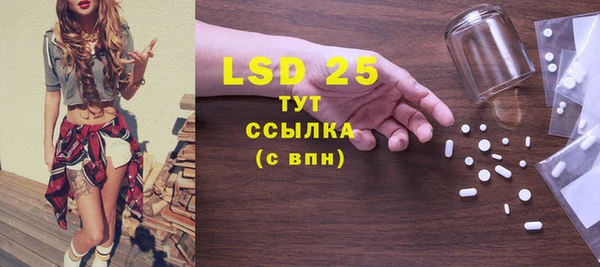 гидра Бикин