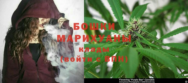 гидра Бикин